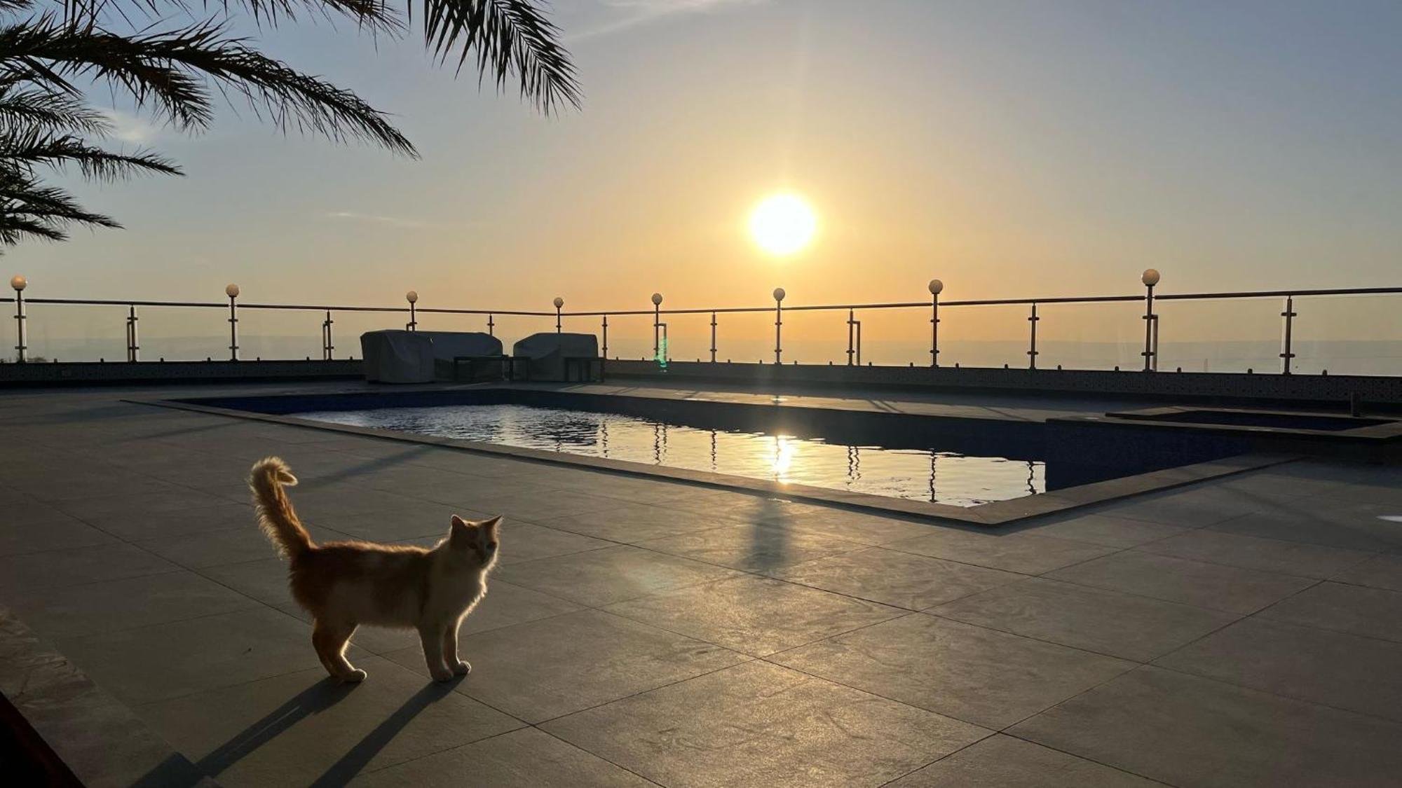 Golden Rays Chalet Madaba Zewnętrze zdjęcie