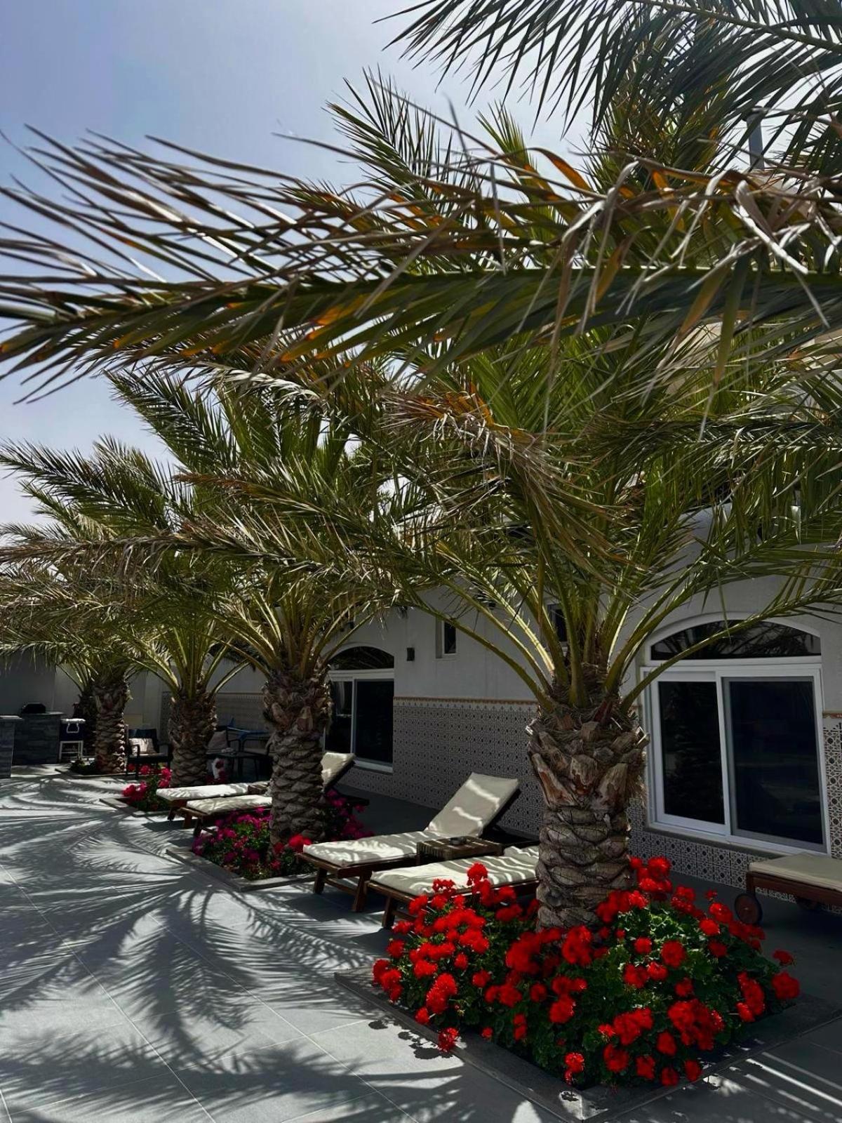 Golden Rays Chalet Madaba Zewnętrze zdjęcie